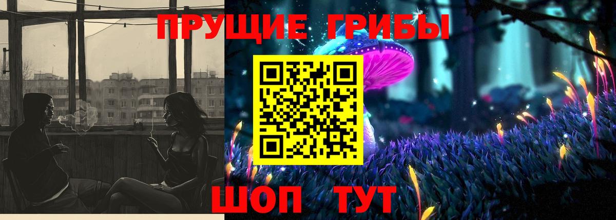 Сланцы  купить  цена  Вход с VPN  Псилоцибиновые грибы Cubensis 